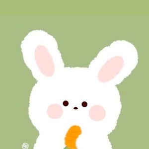 Meet your Posher, Elleena